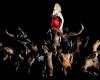 TV Globo cancels Madonna special after criticism; understand