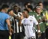 PC de Oliveira says the referee was right when he disallowed LDU’s goal against Botafogo | botafogo