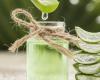How to make aloe vera juice to lose weight? Check out the simple and easy recipe