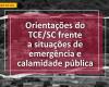 TCE-SC updates guidance booklet and addresses situations in which it is possible to transfer servers and equipment to assist in reconstruction work