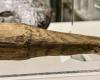 2,000-year-old wooden item may be oldest sexual object
