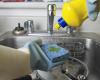 Correio newspaper | Is your detergent among the batches with biological contamination? Understand if there are risks