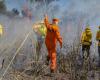Selection process offers 80 vacancies for firefighters to work on forest fires in Tocantins | Tocantins